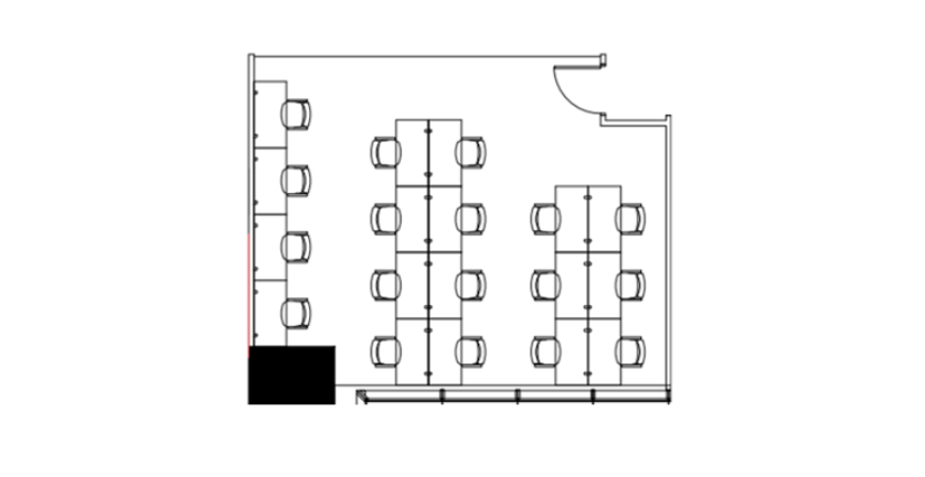 section image